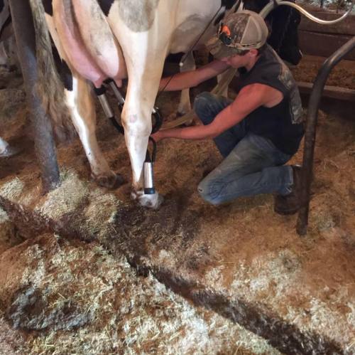 Farmers and their life in the country