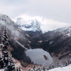 danielodowd:  Griffin Lamb