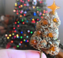 higheramerica:  Happy Holidays My Fellow Stoners! 