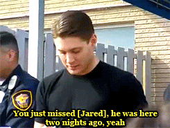 texanpadalecki:  “There was much speculation to whether Jared,