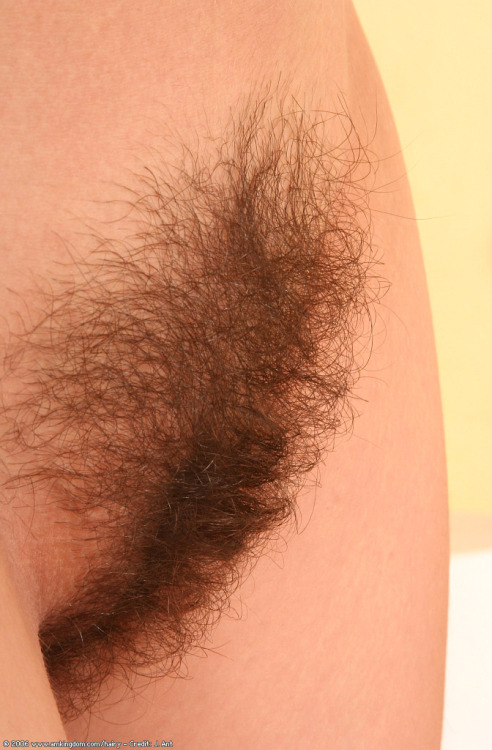 hairypussypics.tumblr.com/post/121436857304/