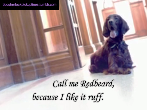 bbcsherlockpickuplines:  â€œCall me Redbeard, because I like it ruff.â€ 