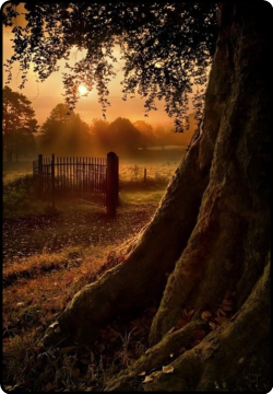 mistymorrning: Sunset Gate, Ireland 