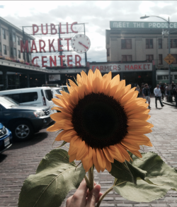 shellbee21love:  Pike Place Market, Seattle 