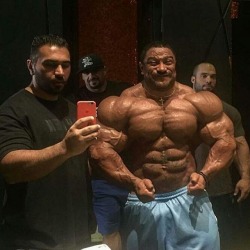 Roelly Winklaar