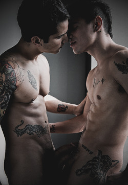 Blokes & Bulges