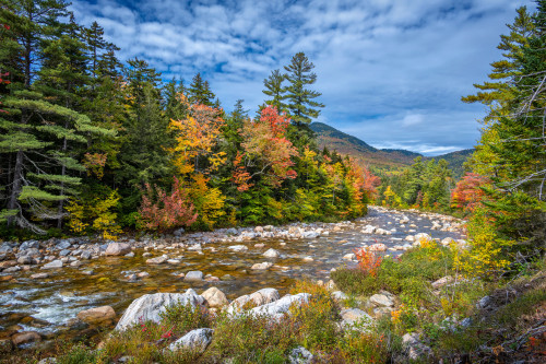 about-usa:Swift River - New Hampshire - USA (by Diana Robinson) 