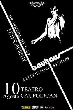 So, Peter Murphy is commin’ to Chile. With Bauhaus Setlist.This