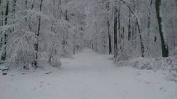 stunningpicture:  [OC] On my way to work this morning, Eifel,