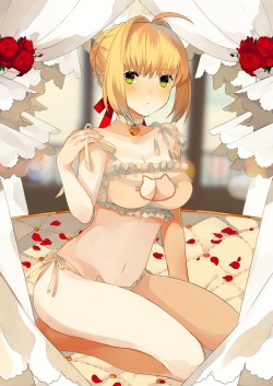 owl pudding fate/extra fate/stay night saber extra bra cleavage