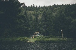 stardust-and-books:🌲🍃🌊💚