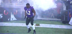 ir3pteambreezy:   RAY LEWIS LAST DANCE OUT OF THE BALTIMORE RAVENS