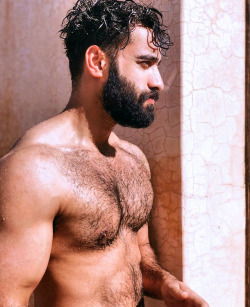 GAY BEAR FOR CHASERS