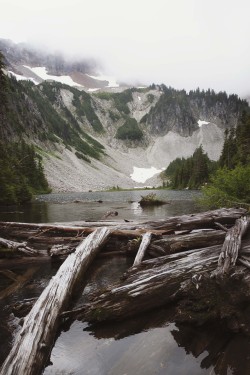 frances-dierken: Her BreathSnow Lake, Mt. Rainier, August 2014