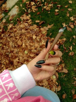 chocolvatefrosting:  420 in the fall.