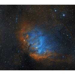 The Tulip in the Swan #nasa #apod #tulip #nebula #constellation