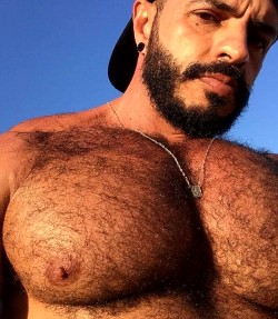 barrypexsblog: Oswaldo. Brazilian, Big, Hairy, Juiced, Tits &