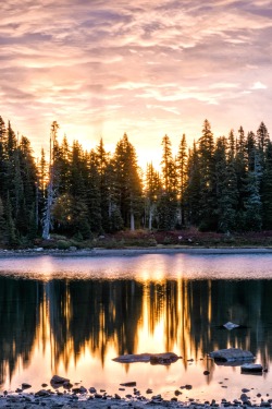 lensblr-network:  Sunrise, Jefferson Park Wilderness, OR photo