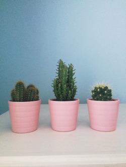 ohcean-ghost:🌵 got these lil guys from ikea 🌵