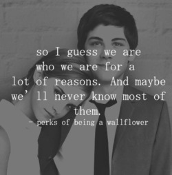 the perks | via Tumblr on We Heart It. http://weheartit.com/entry/66926733/via/Boo96