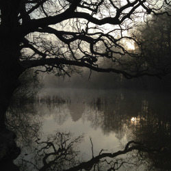 thespectraldimension:Trent Park misty lake by spectrascopic.