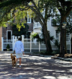 south-carolina-southern-belle:Charleston SC 