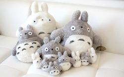 joonheung:  (by little relax bear ♥) 