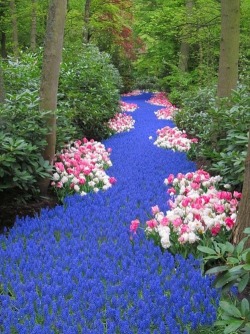 How does your garden grow … a gorgeous “river” of