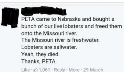 jacketrock:sums up peta pretty well tbh