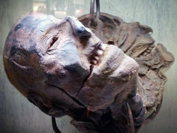 cultofweird:  The bisected and mummified head of German serial