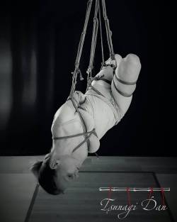 tsunagidan:  #suspension #shibariart #shibari #bondageart #Bondage