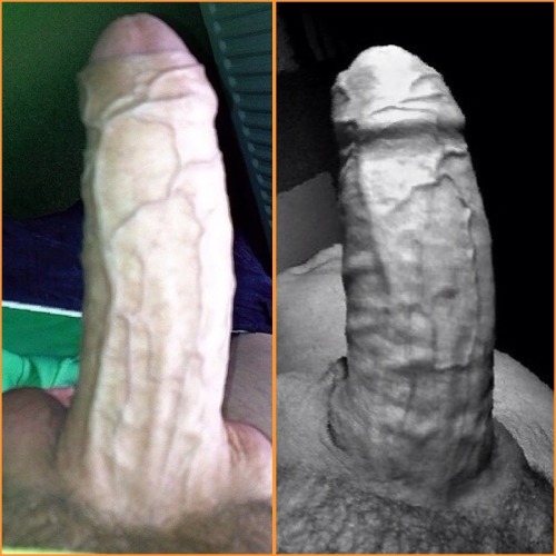 Big thick cock meat