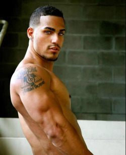 completelyfine:  Yes, please! http://completelyfine.tumblr.com