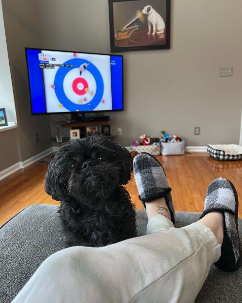 <p>Took a few hours off today. Not a whole day, but restorative nonetheless. </p>

<p>#curling #beijing2022 #lesterpawfus #shihtzu #shihtzusofinstagram  (at Fiddlestar Camps)<br/>
<a href="https://www.instagram.com/p/CZk0Y59race/?utm_medium=tumblr">https://www.instagram.com/p/CZk0Y59race/?utm_medium=tumblr</a></p>