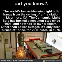 did-you-kno:  The world’s longest-burning light bulb hangs