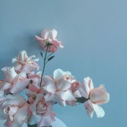 floralls:    by  brrch_floral  