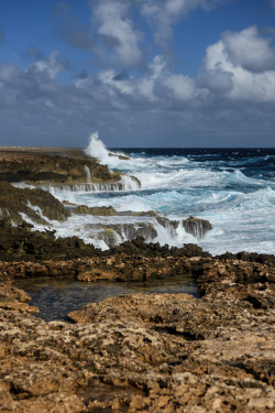 breathtakingdestinations:  Bonaire - Netherlands Antilles (by cliff