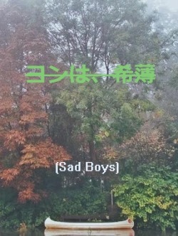 bvsed-stoner:  Yung Lean edit
