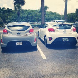 Oh well hello there LOL #velolsternation #velosterdotorg #lunchbreak