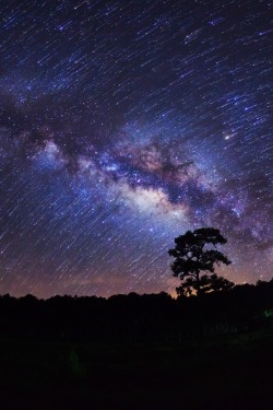 0ce4n-g0d:  Milky Way at Phu Hin Rong Kla National Park,Phitsanulok