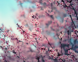 ☾