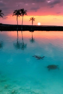 sundxwn:  Sunset at Kiholo Bay by Yves Rubin