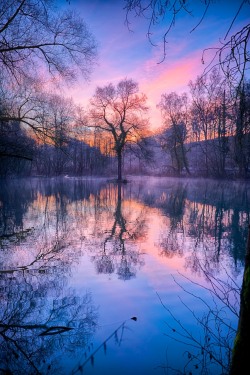 magicalnaturetour:  Winter Sunrise by Wolfgang A 