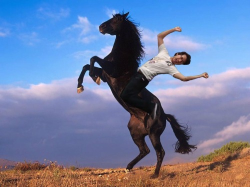 tere-fere-qq:  Click HERE for more funny photoshop 