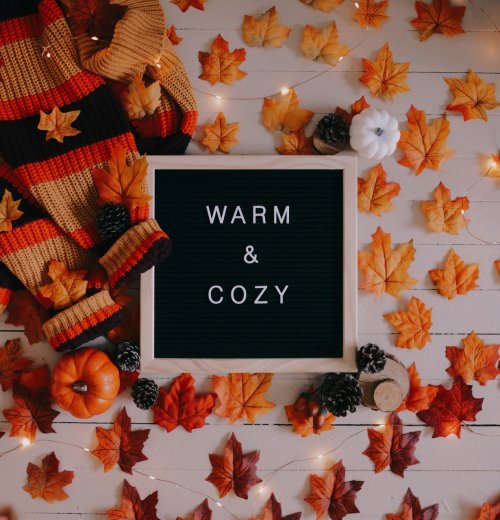 come get cosy