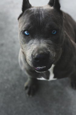 envyavenue:Blue Pit