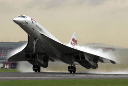 thesorrowsofgin: thesorrowsofgin:  ohwhataparadise:  Concorde.