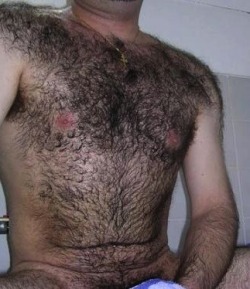 yummy1947:This bear has a magnificent hairy chest that merges