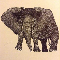 #pen #ink #elephant #art #drawing #myartskills