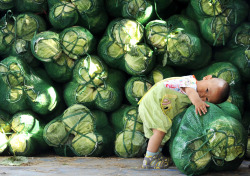 troposphera:  A boy holds a sack of cabbages at a vegetable wholesale